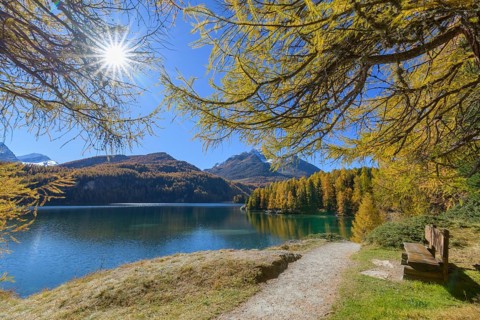 Path with bench and colorful larch trees and sun in autumn