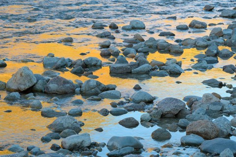 Stones on mountain stream with reflecting larches in the water