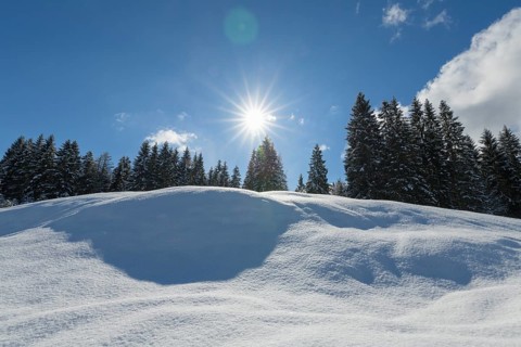 Winter landscape with sun