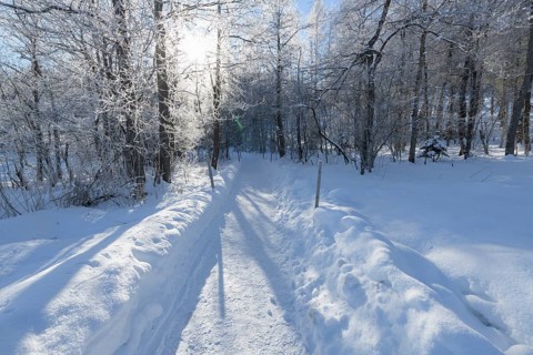 Path in winter landscape near lake Barmsee with sun