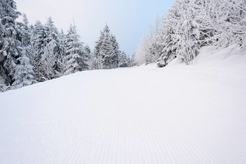 Ski slope in the morning