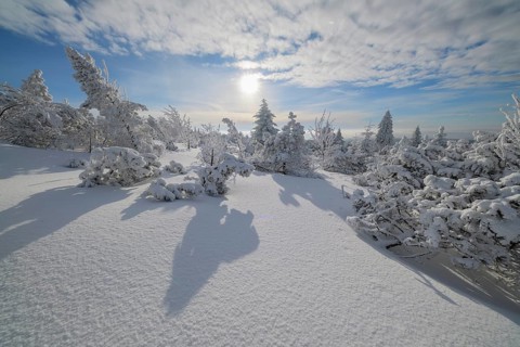 Snow covered winter landscape with sun