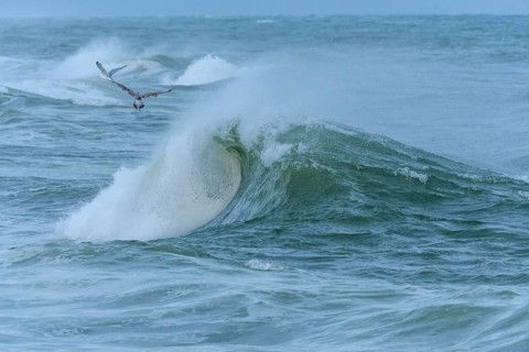 Breaking Wave