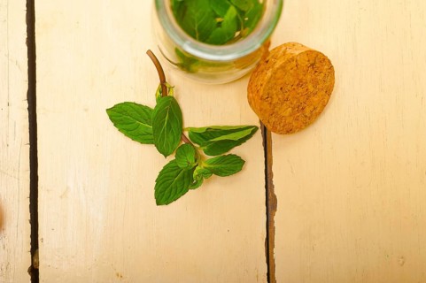 Fresh mint leaves on a glass jarover a rustic white wood table