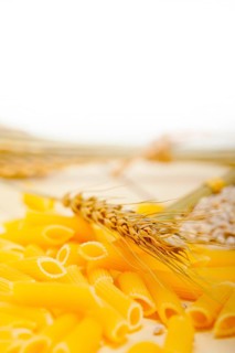 Short Italian pasta penne with durum wheat grains