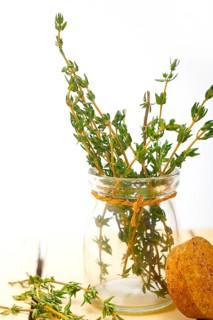 Fresh thyme on a glass jar over a white wood rustic table