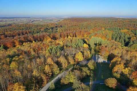 View of autumn forest from the Schoenbuch Tower
