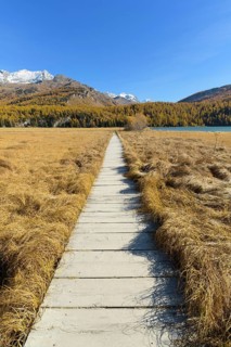 Boardwalk on Lake Silsersee in autumn