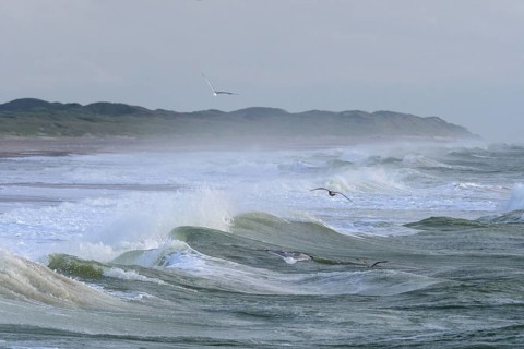 Breaking Wave