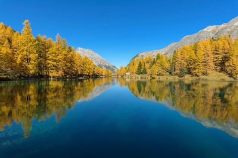 Mountain lake with larch trees in autumn