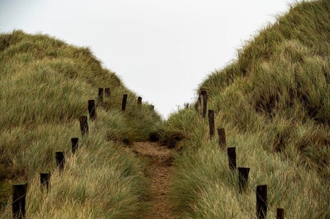 Sand path with dune grass and fence