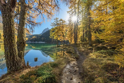 Mountain lake with larch trees in autumn
