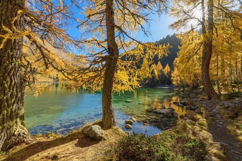 Mountain lake with larch trees in autumn