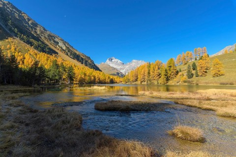 Mountain lake with larch trees in autumn
