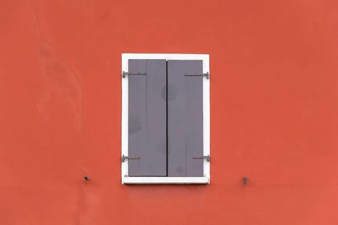 Window with shutter