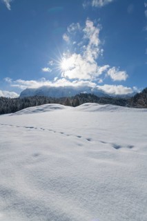 Winter landscape with sun