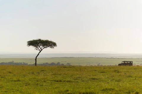 Savannah landscape with safari vehicle