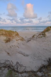 Dune landscape with the north sea in the morning