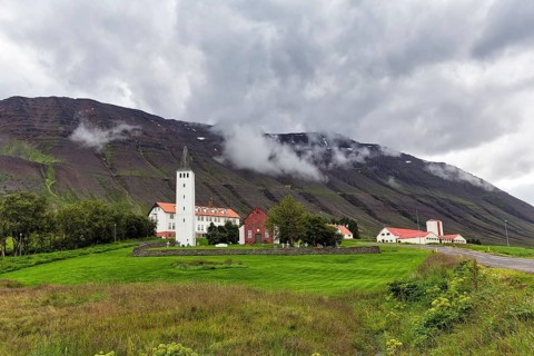 Village view with church tower in summer