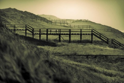 Footbridge in dune landscape