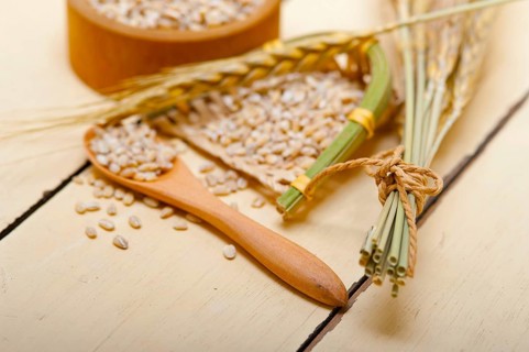 Organic wheat grains over rustic wood table macro closeup