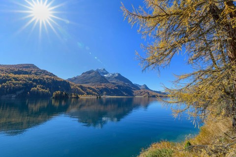 Lake Silsersee with colorful larch trees and sun in autumn