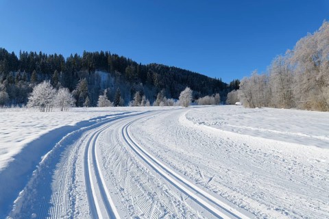 Cross country skiing track in winter landscape near lake Barmsee