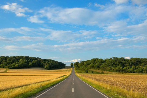 Country road with grain fields in summer