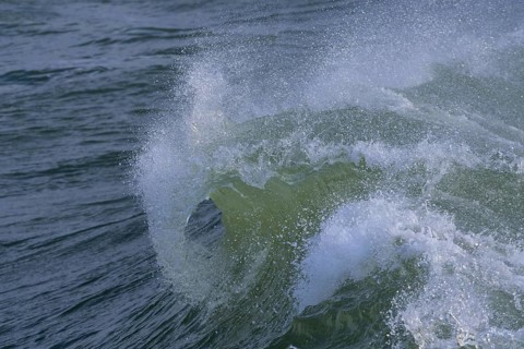 Breaking Wave