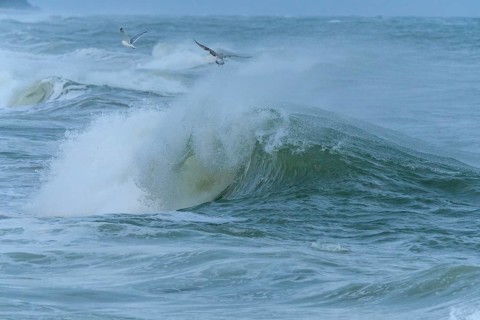 Breaking Wave