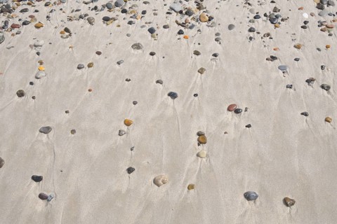 Sandy beach with pebble