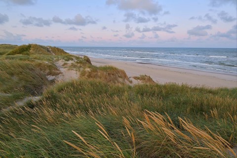Dune landscape with the north sea in the morning