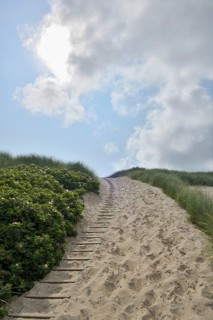 Dune landscape with sandy footpath to the sea in summer