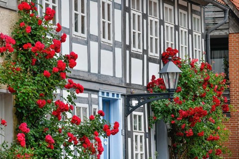 Half-timbered houses