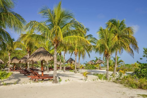 Palm Beach