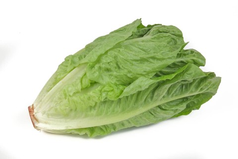 Romaine lettuce