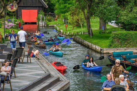 Paddle boats