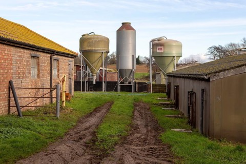 Food storage silos fodder feed containers on pig farm