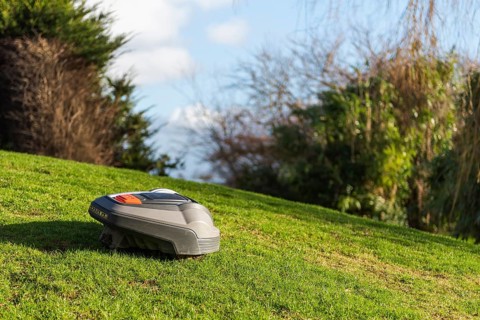 The robotic lawnmower mows the lawn on the slope