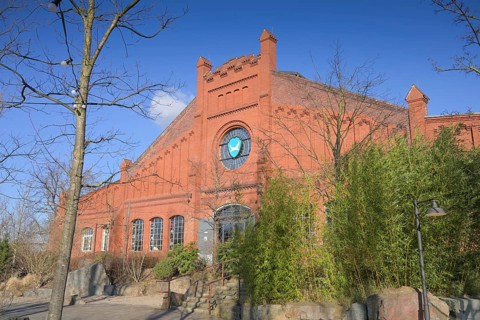 Craft beer brewery BrewDog DogTap