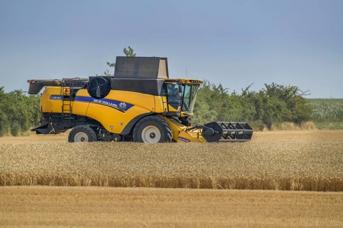 Grain harvest