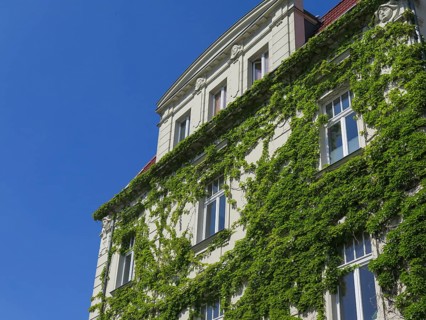 Old building