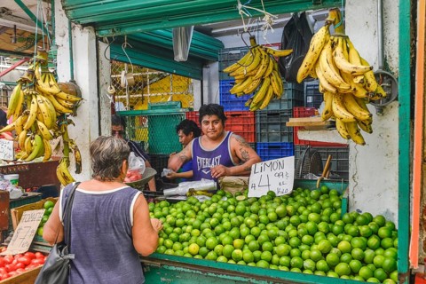 Limes