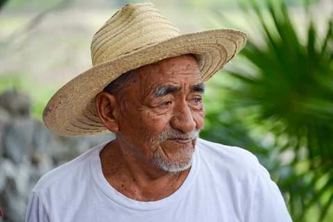 Old farmer explaining the production of sisal
