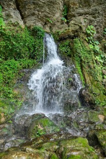 Spring at Misol-Ha Waterfall