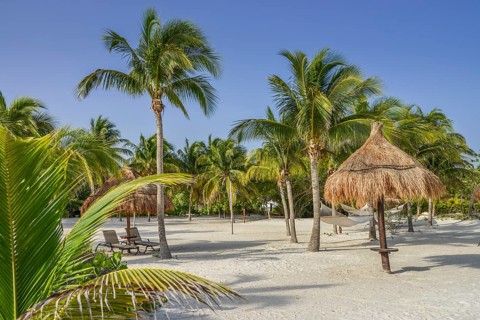 Palm Beach