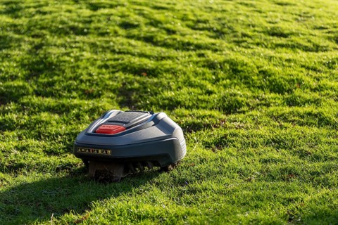 The robotic lawnmower mows the lawn