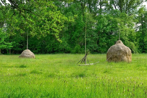 Hayloft