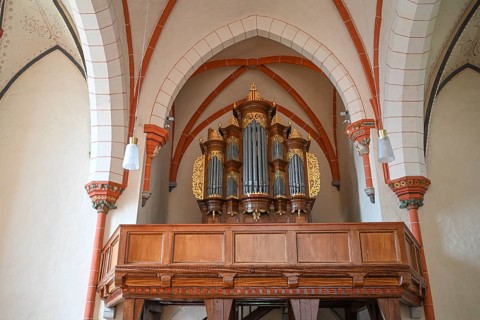 Heeren-Euler organ