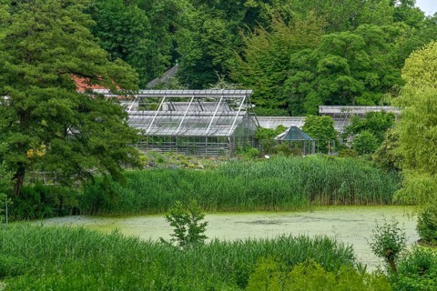 Glass house